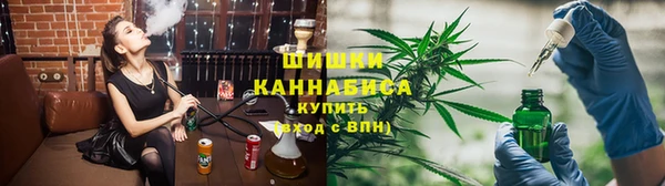 дмт Дмитров