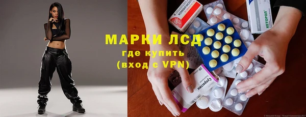 шишки Дмитровск