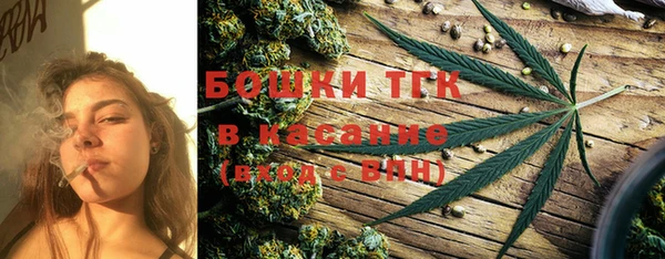 дмт Дмитров