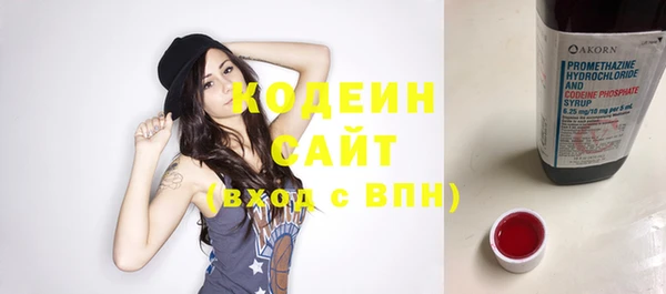 дмт Дмитров