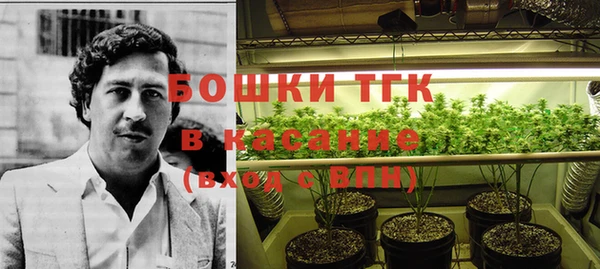 шишки Дмитровск