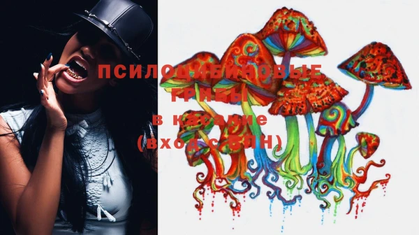 Альфа ПВП Дмитриев