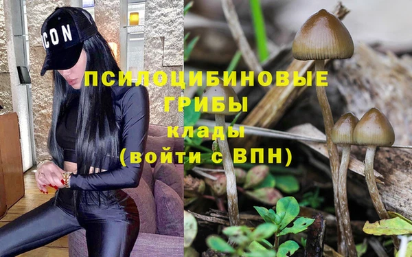 дмт Дмитров