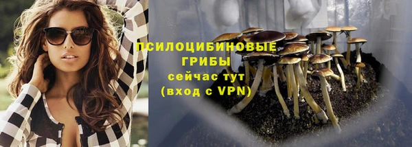 мяу мяу мука Иноземцево