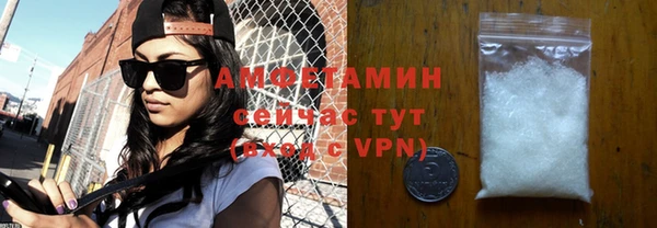 шишки Дмитровск